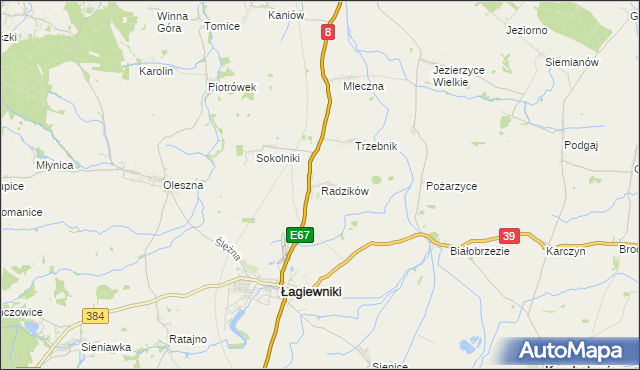 mapa Radzików gmina Łagiewniki, Radzików gmina Łagiewniki na mapie Targeo