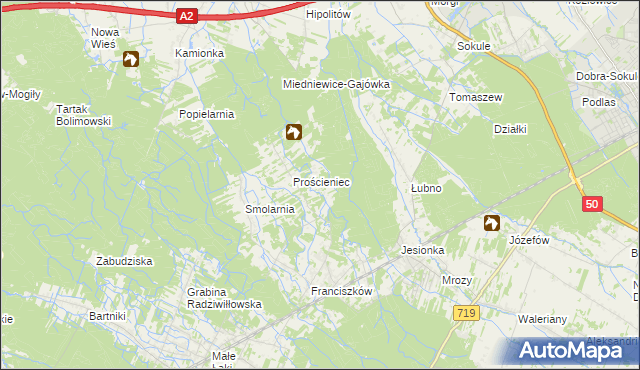 mapa Antoniew gmina Wiskitki, Antoniew gmina Wiskitki na mapie Targeo