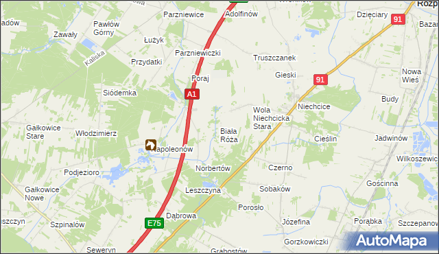 mapa Biała Róża gmina Rozprza, Biała Róża gmina Rozprza na mapie Targeo