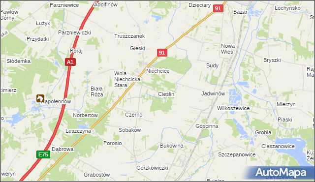 mapa Cieślin gmina Rozprza, Cieślin gmina Rozprza na mapie Targeo