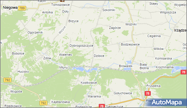 mapa Dzibice, Dzibice na mapie Targeo