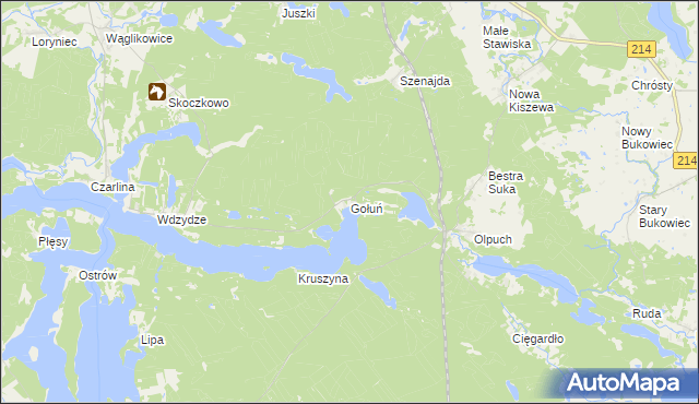 mapa Gołuń gmina Kościerzyna, Gołuń gmina Kościerzyna na mapie Targeo