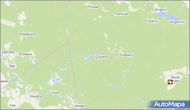 mapa Grzybno gmina Stara Kiszewa, Grzybno gmina Stara Kiszewa na mapie Targeo