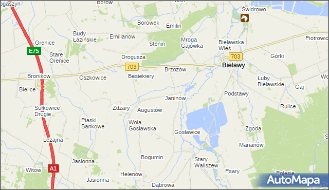 mapa Janinów gmina Bielawy, Janinów gmina Bielawy na mapie Targeo