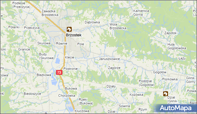 mapa Januszkowice gmina Brzostek, Januszkowice gmina Brzostek na mapie Targeo