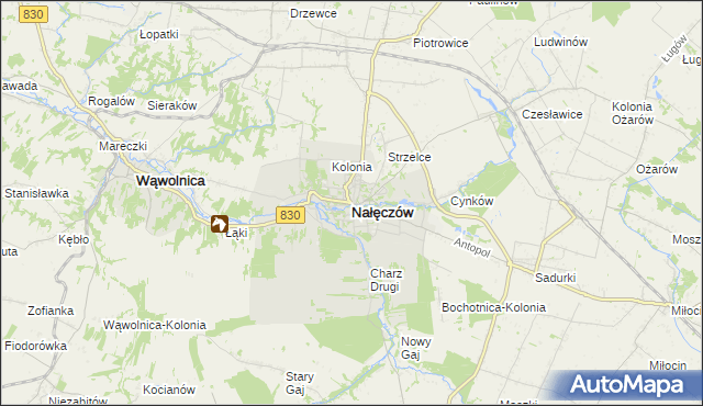 mapa Nałęczów powiat puławski, Nałęczów powiat puławski na mapie Targeo