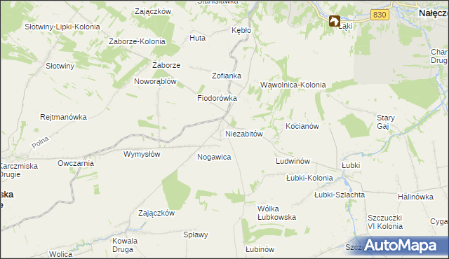 mapa Niezabitów, Niezabitów na mapie Targeo