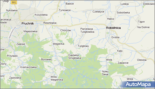 mapa Tuligłowy gmina Rokietnica, Tuligłowy gmina Rokietnica na mapie Targeo