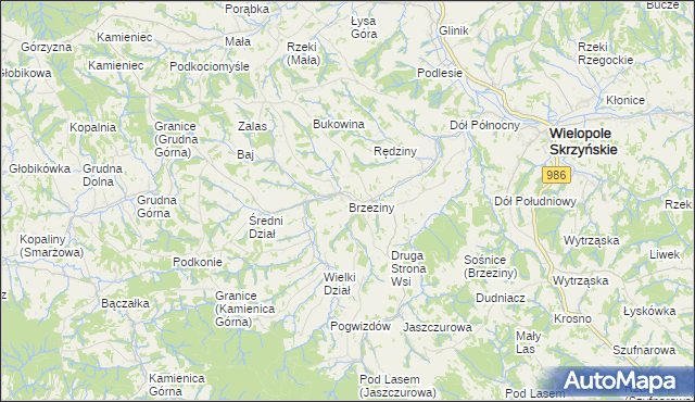 mapa Brzeziny gmina Wielopole Skrzyńskie, Brzeziny gmina Wielopole Skrzyńskie na mapie Targeo