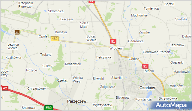 mapa Pełczyska gmina Ozorków, Pełczyska gmina Ozorków na mapie Targeo