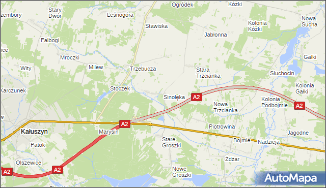 mapa Sinołęka, Sinołęka na mapie Targeo