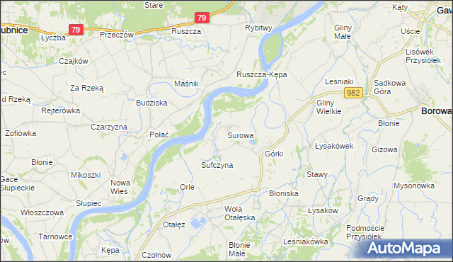 mapa Surowa gmina Borowa, Surowa gmina Borowa na mapie Targeo