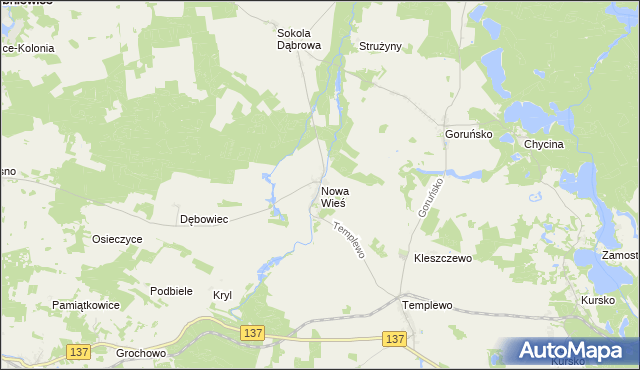 mapa Nowa Wieś gmina Bledzew, Nowa Wieś gmina Bledzew na mapie Targeo
