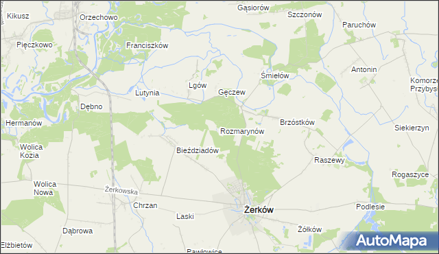 mapa Rozmarynów, Rozmarynów na mapie Targeo