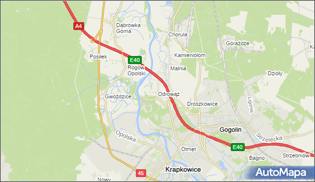 mapa Odrowąż gmina Gogolin, Odrowąż gmina Gogolin na mapie Targeo