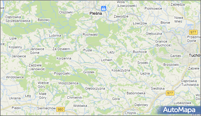 mapa Lichwin gmina Pleśna, Lichwin gmina Pleśna na mapie Targeo