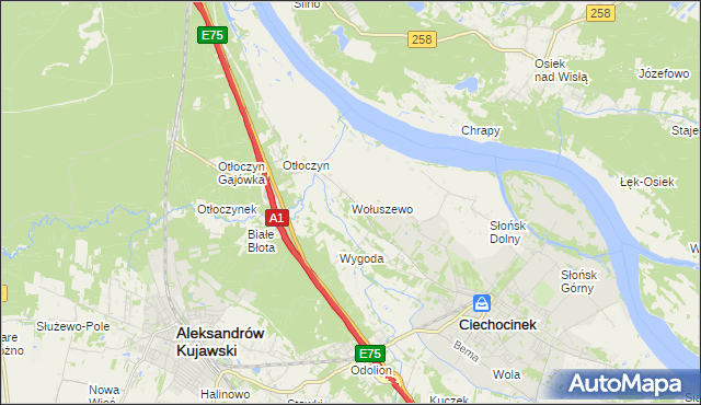 mapa Wołuszewo, Wołuszewo na mapie Targeo