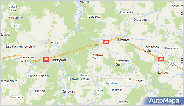 mapa Borowa Wola, Borowa Wola na mapie Targeo