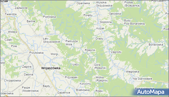 mapa Rzepnik, Rzepnik na mapie Targeo
