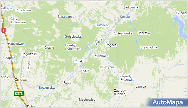 mapa Płazówka gmina Dzikowiec, Płazówka gmina Dzikowiec na mapie Targeo