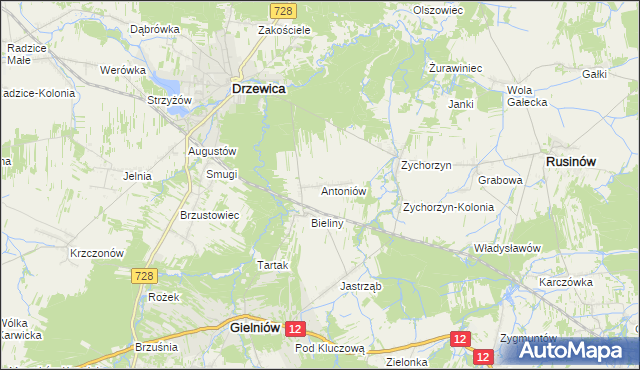 mapa Antoniów gmina Gielniów, Antoniów gmina Gielniów na mapie Targeo