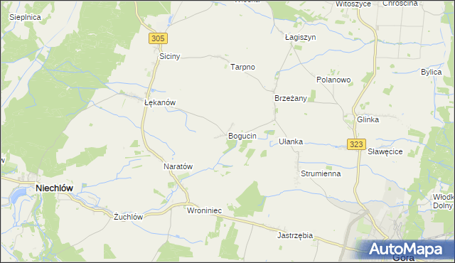 mapa Bogucin gmina Niechlów, Bogucin gmina Niechlów na mapie Targeo