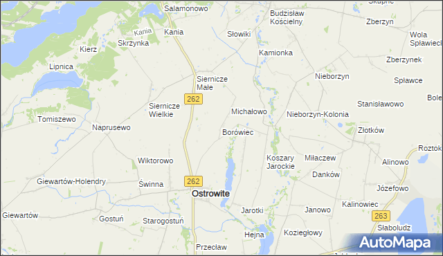 mapa Borówiec gmina Ostrowite, Borówiec gmina Ostrowite na mapie Targeo