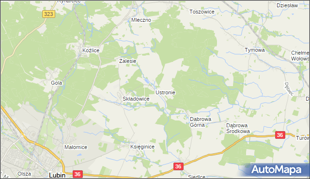 mapa Ustronie gmina Lubin, Ustronie gmina Lubin na mapie Targeo