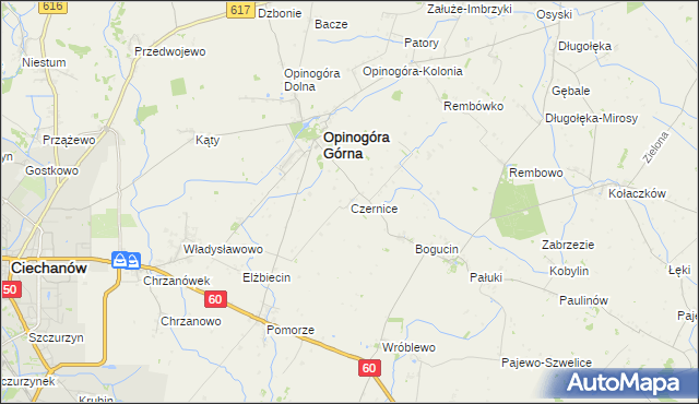 mapa Czernice gmina Opinogóra Górna, Czernice gmina Opinogóra Górna na mapie Targeo