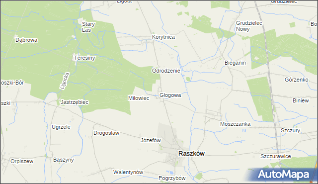 mapa Głogowa gmina Raszków, Głogowa gmina Raszków na mapie Targeo