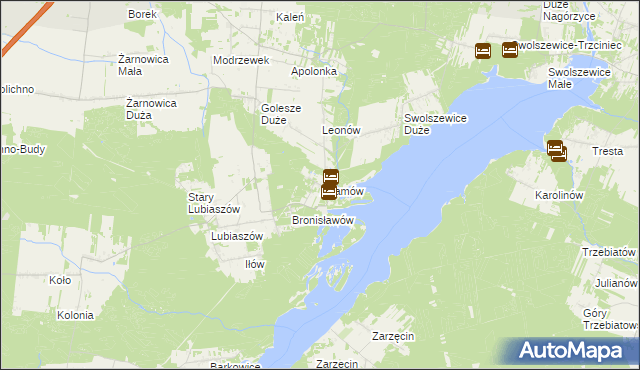 mapa Adamów gmina Wolbórz, Adamów gmina Wolbórz na mapie Targeo