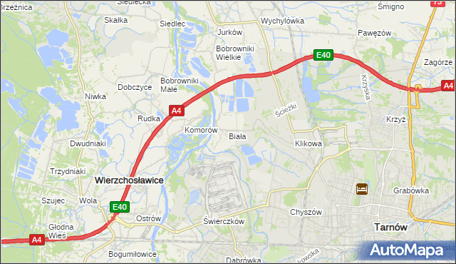 mapa Biała gmina Tarnów, Biała gmina Tarnów na mapie Targeo