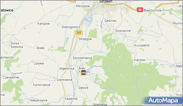 mapa Dębniki gmina Strzelin, Dębniki gmina Strzelin na mapie Targeo