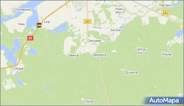 mapa Dębogóra gmina Dobiegniew, Dębogóra gmina Dobiegniew na mapie Targeo
