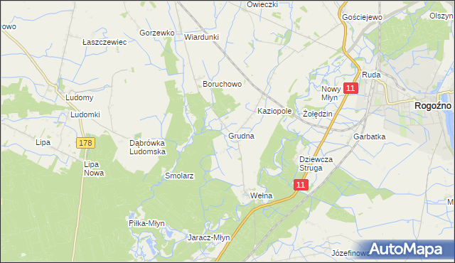mapa Grudna gmina Rogoźno, Grudna gmina Rogoźno na mapie Targeo