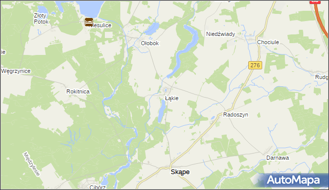 mapa Łąkie gmina Skąpe, Łąkie gmina Skąpe na mapie Targeo