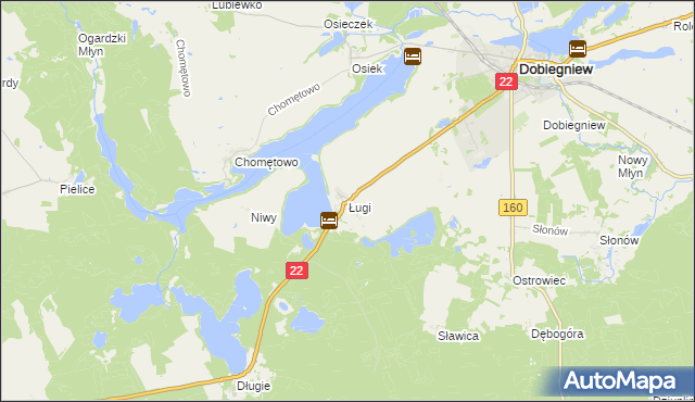 mapa Ługi gmina Dobiegniew, Ługi gmina Dobiegniew na mapie Targeo