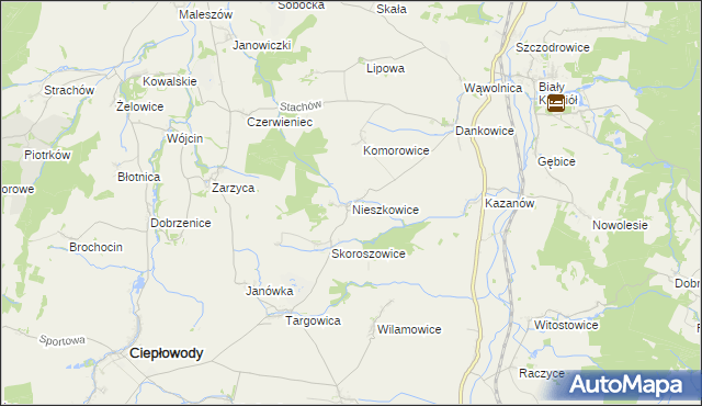 mapa Nieszkowice gmina Strzelin, Nieszkowice gmina Strzelin na mapie Targeo