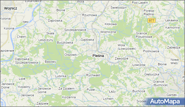 mapa Pleśna powiat tarnowski, Pleśna powiat tarnowski na mapie Targeo