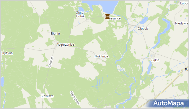 mapa Rokitnica gmina Skąpe, Rokitnica gmina Skąpe na mapie Targeo