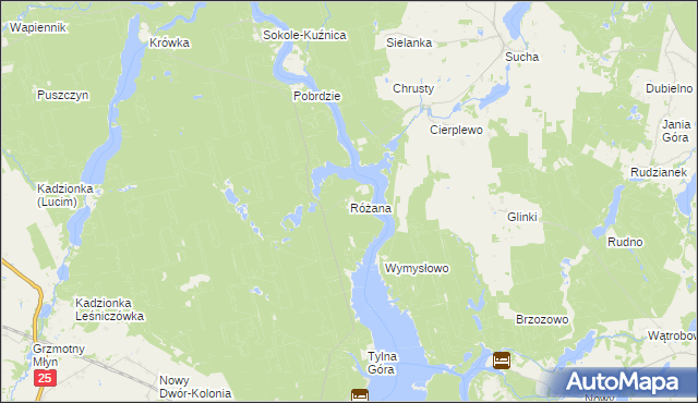 mapa Różana gmina Koronowo, Różana gmina Koronowo na mapie Targeo