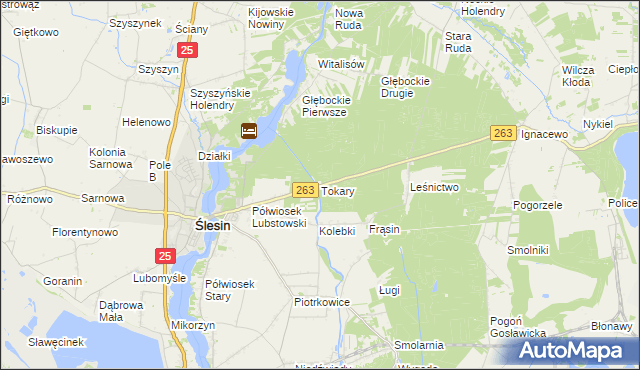 mapa Tokary gmina Ślesin, Tokary gmina Ślesin na mapie Targeo