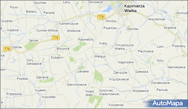 mapa Wielgus, Wielgus na mapie Targeo