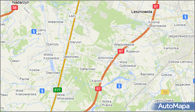 mapa Antoninów gmina Piaseczno, Antoninów gmina Piaseczno na mapie Targeo