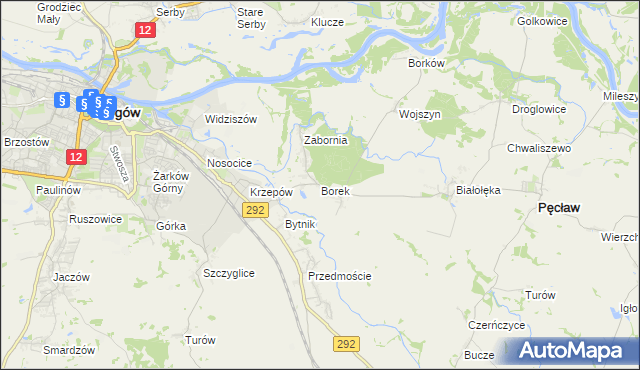 mapa Borek gmina Głogów, Borek gmina Głogów na mapie Targeo