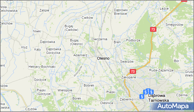 mapa Olesno powiat dąbrowski, Olesno powiat dąbrowski na mapie Targeo