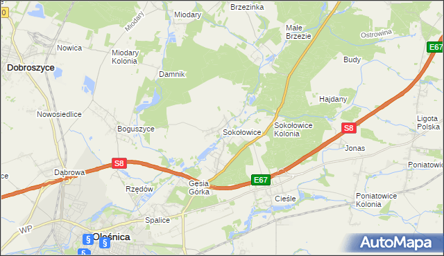 mapa Sokołowice gmina Oleśnica, Sokołowice gmina Oleśnica na mapie Targeo