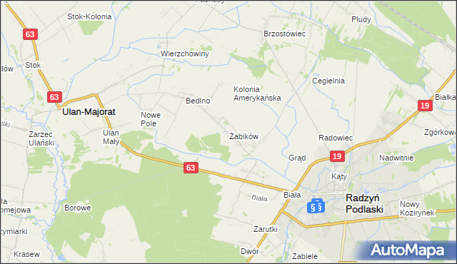 mapa Żabików gmina Radzyń Podlaski, Żabików gmina Radzyń Podlaski na mapie Targeo
