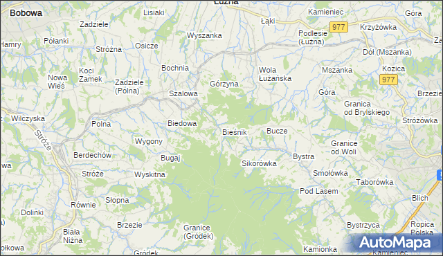 mapa Bieśnik gmina Łużna, Bieśnik gmina Łużna na mapie Targeo