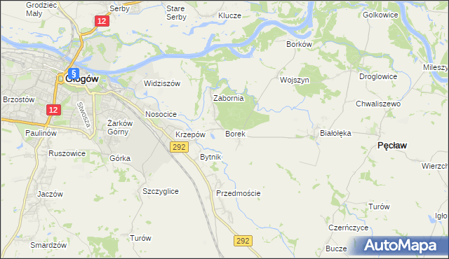 mapa Borek gmina Głogów, Borek gmina Głogów na mapie Targeo